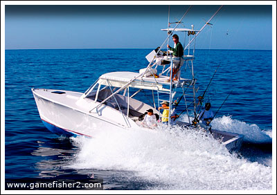 The Gamefisher2 is a 31' custom-built Palm Beach design sport fisher powered by twin Volvo turbocharged diesel engines.